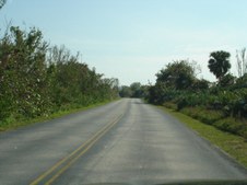Enlarge photo 75