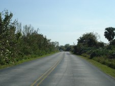 Enlarge photo 76