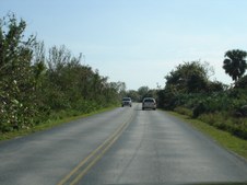 Enlarge photo 77