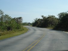 Enlarge photo 78