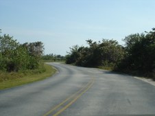 Enlarge photo 79