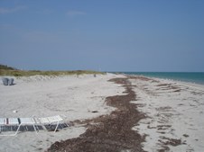 Enlarge photo 82