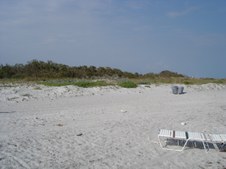 Enlarge photo 83