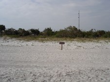 Enlarge photo 84