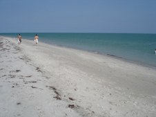 Enlarge photo 88