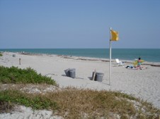 Enlarge photo 92