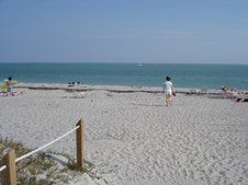 Enlarge photo 93