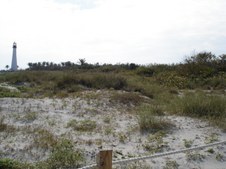 Enlarge photo 95