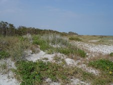 Enlarge photo 96