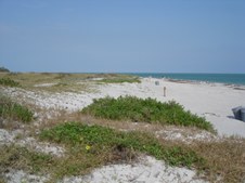 Enlarge photo 97