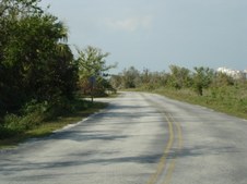 Enlarge photo 104