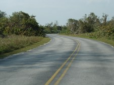 Enlarge photo 105