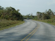 Enlarge photo 106