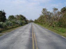 Enlarge photo 107