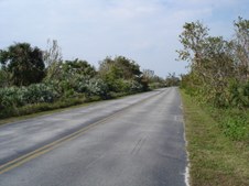 Enlarge photo 108