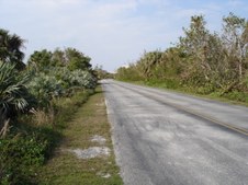 Enlarge photo 109