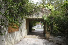 Enlarge photo 141