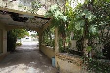 Enlarge photo 142