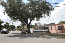 Enlarge photo 151