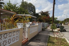 Enlarge photo 262