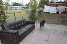Enlarge photo 45