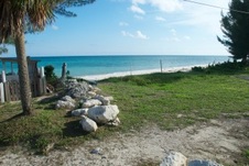 Enlarge photo 70