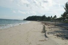 Enlarge photo 74