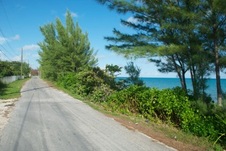 Enlarge photo 79