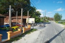 Enlarge photo 80