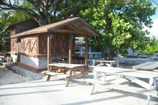 Enlarge photo 82