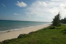 Enlarge photo 83