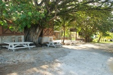 Enlarge photo 87