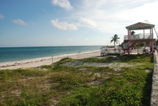 Enlarge photo 92