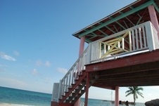 Enlarge photo 93