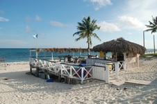 Enlarge photo 94