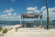 Enlarge photo 98