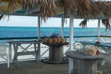 Enlarge photo 104