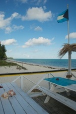 Enlarge photo 106