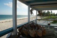 Enlarge photo 107