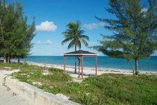 Enlarge photo 111