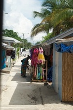 Enlarge photo 114