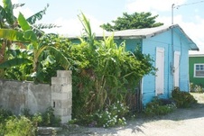 Enlarge photo 35
