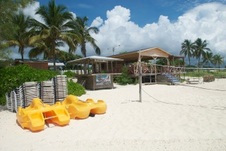 Enlarge photo 119