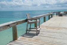 Enlarge photo 121