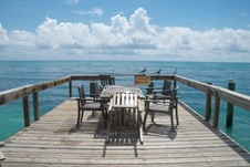 Enlarge photo 122