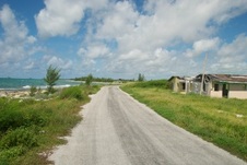 Enlarge photo 44