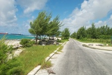 Enlarge photo 49