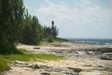 Enlarge photo 50