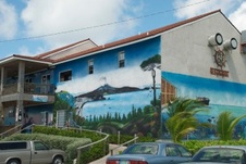 Enlarge photo 54