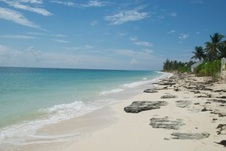 Enlarge photo 163